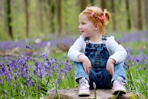 Toddler sat on tree stump surrounded by blue bells