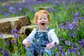 Child laughing portrait in bluebells